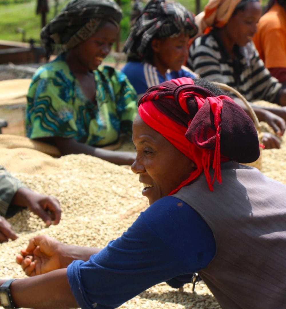 La coopérative Shilicho en Éthiopie