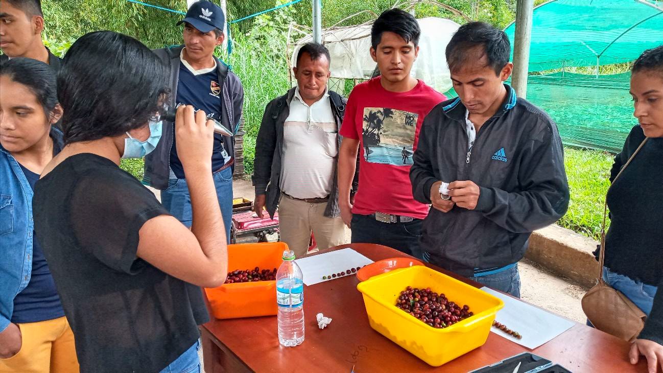 impact-peru-story-1