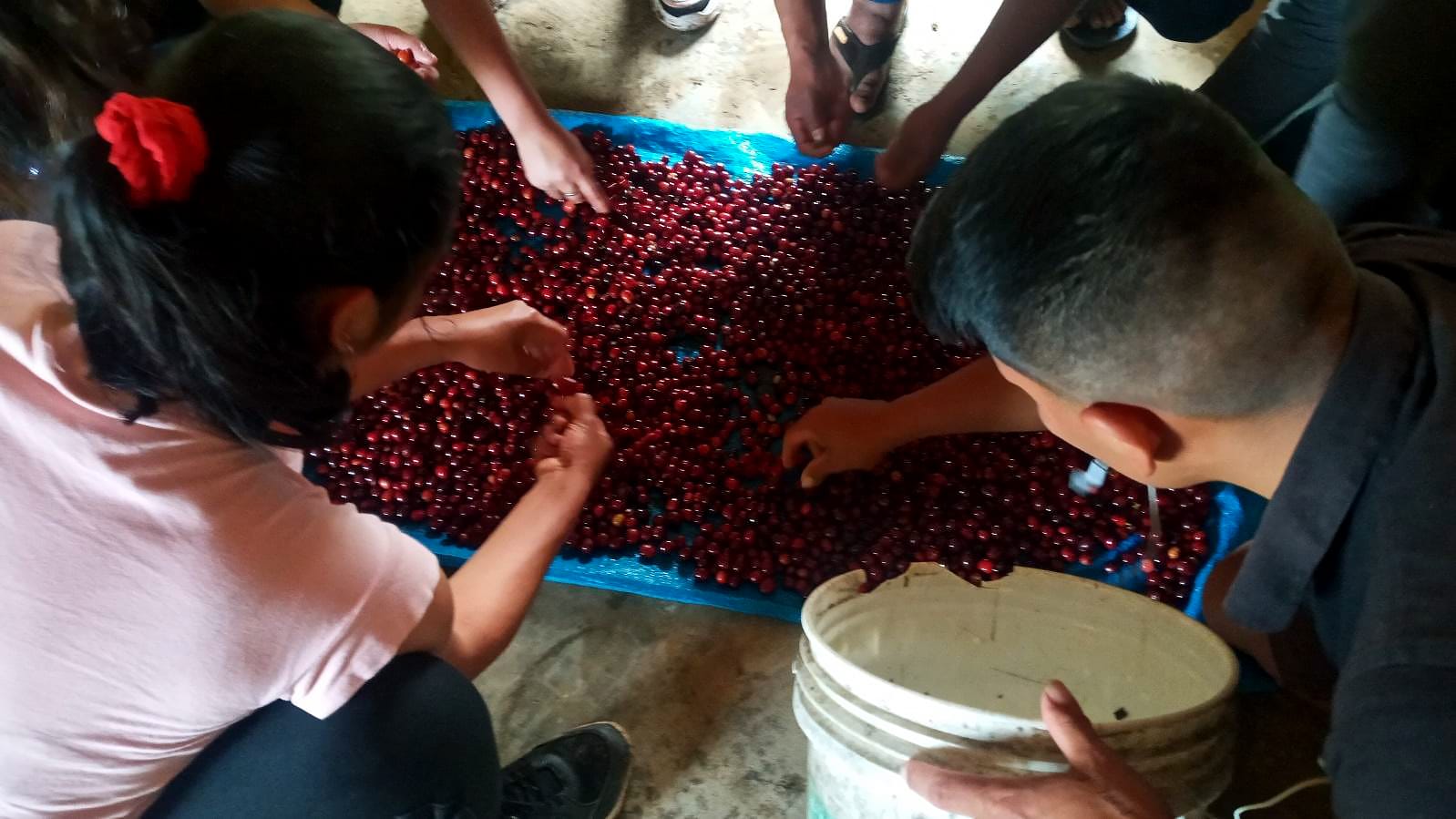 impact-peru-story-2