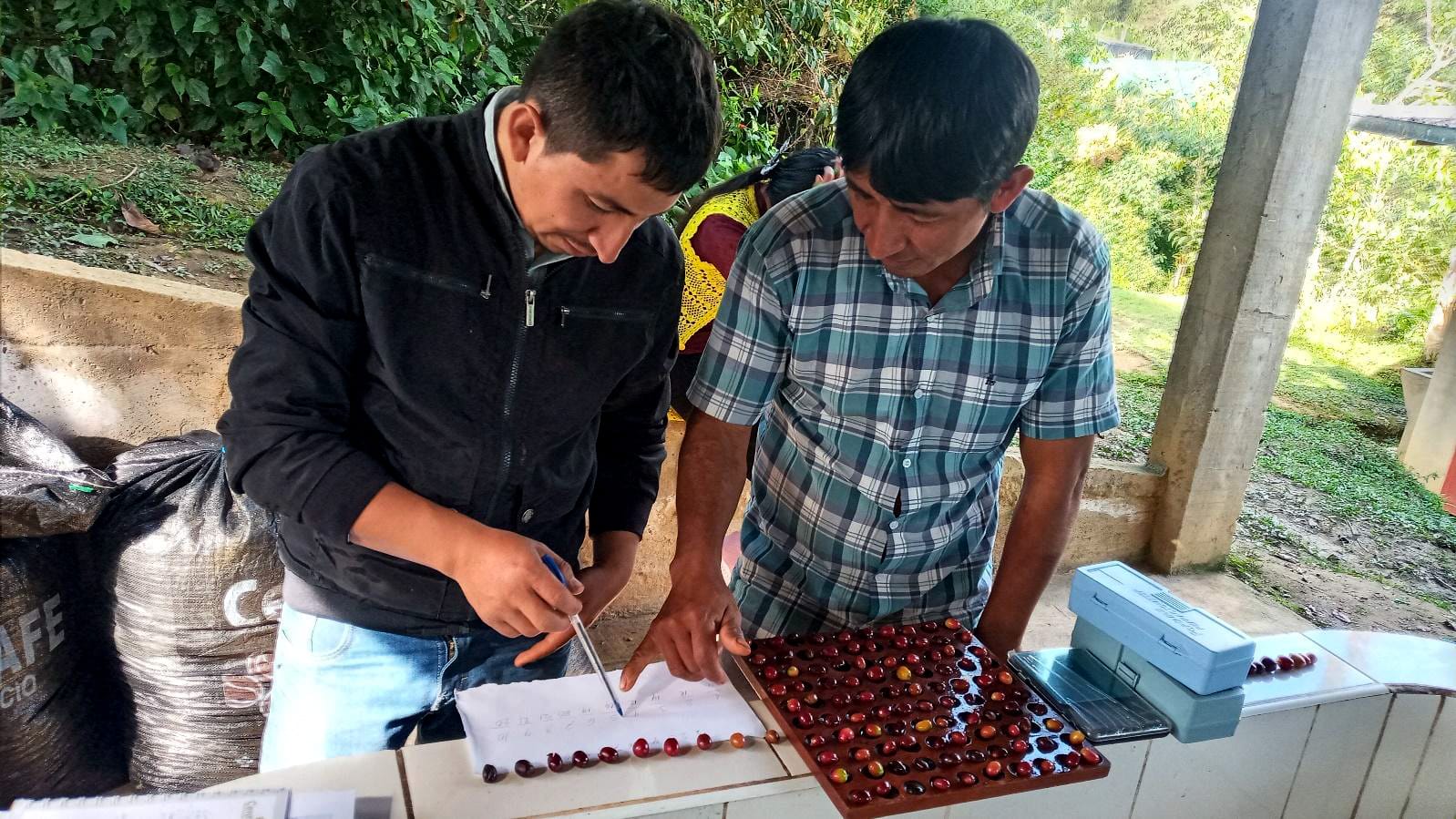 impact-peru-story-3