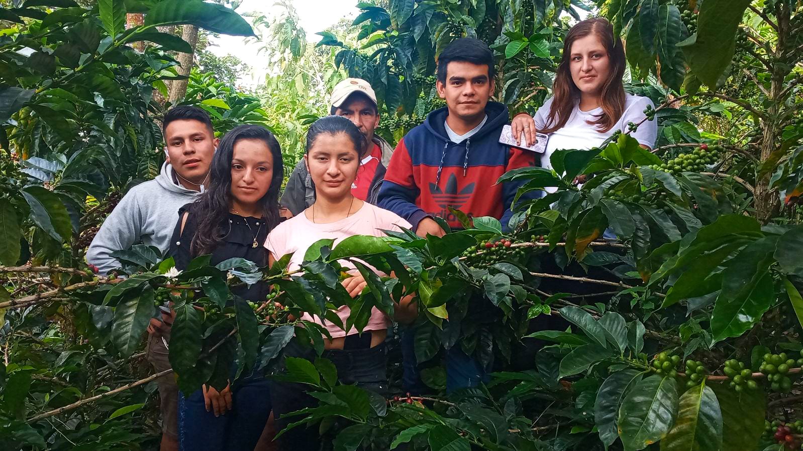 impact-peru-story