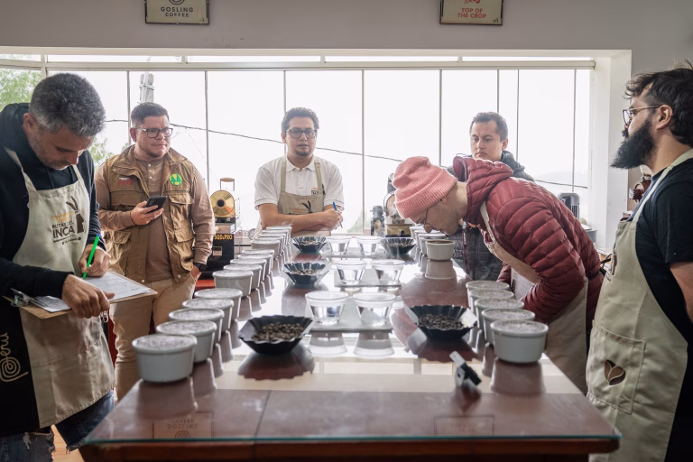 Cupping au Pérou