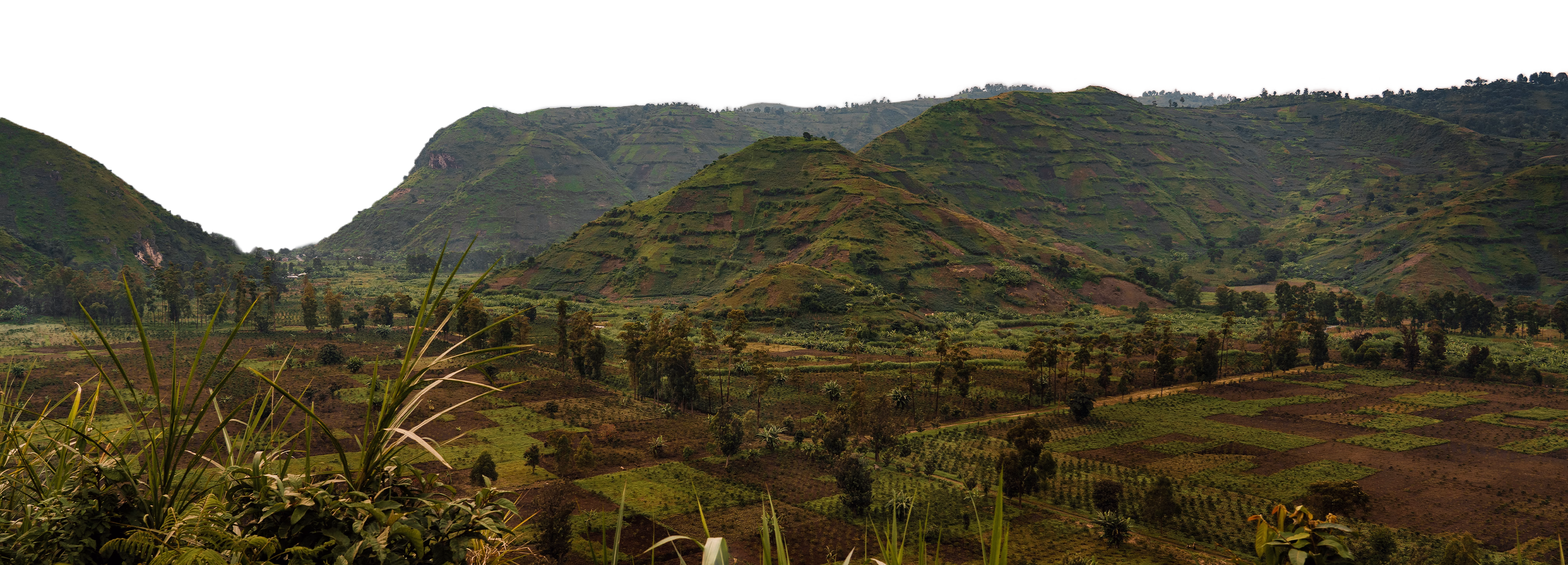 Café bio en vrac